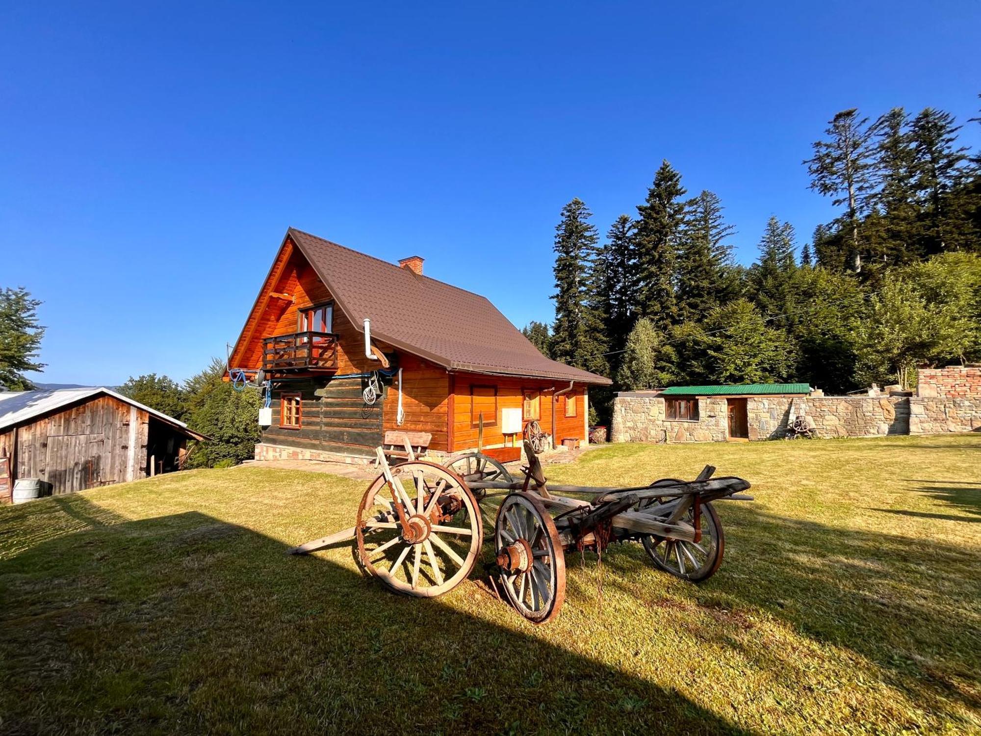 Alpejski Azyl Wisla Hotel Exterior photo